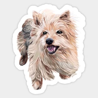 Comet the Australian Silky Terrier Sticker